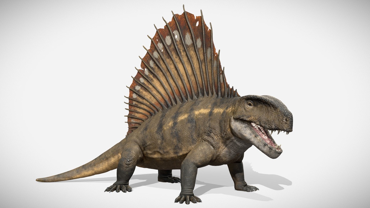Media 1 for listing Dimetrodon Rig
