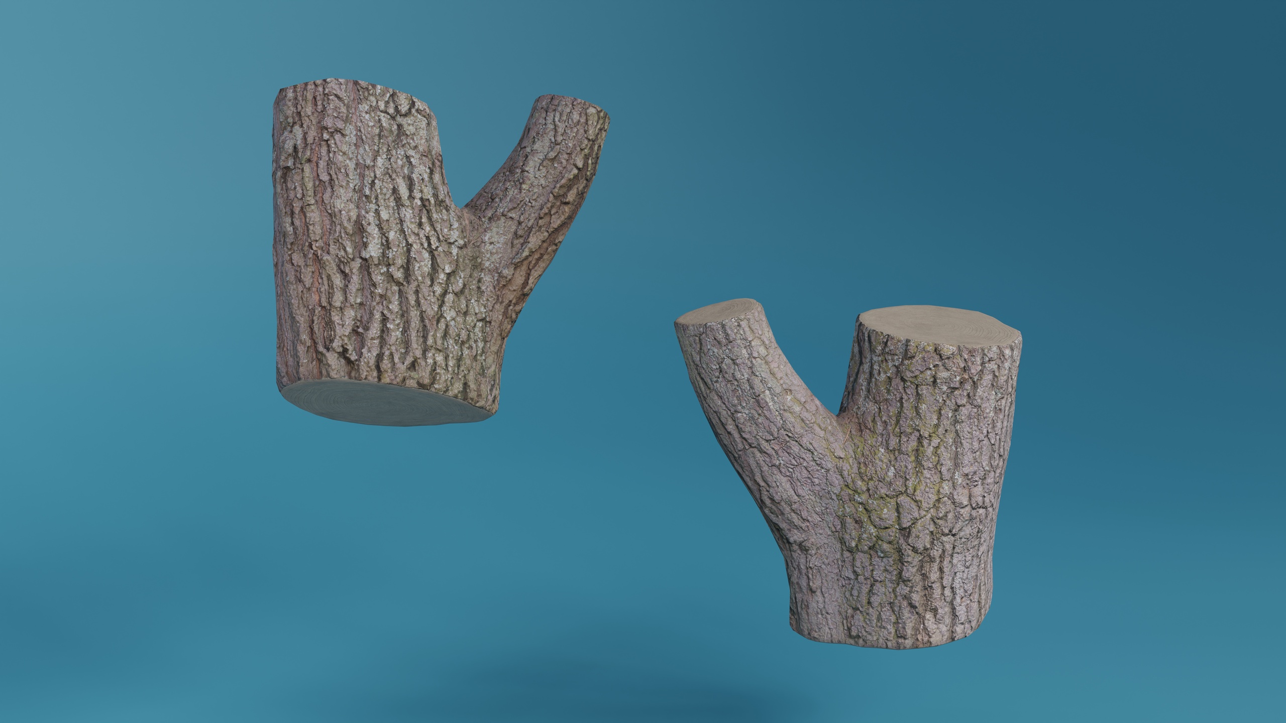 Media 1 for listing Tree trunk photoscan model