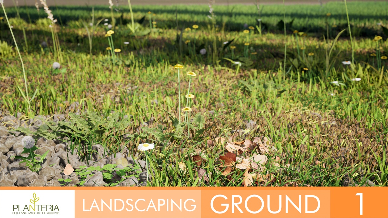 Media 1 for listing Landscaping Ground 1