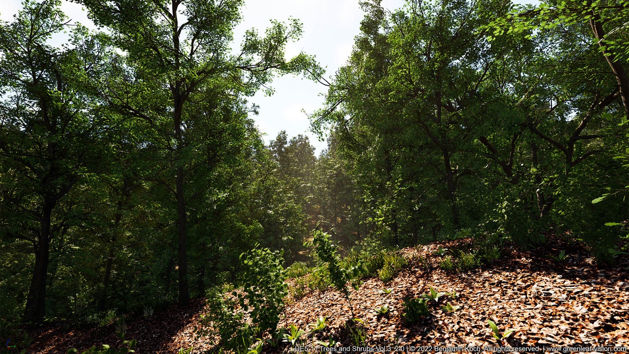Media 1 for listing Trees and Shrubs - Vol. 3 (Extreme Realistic Wind)