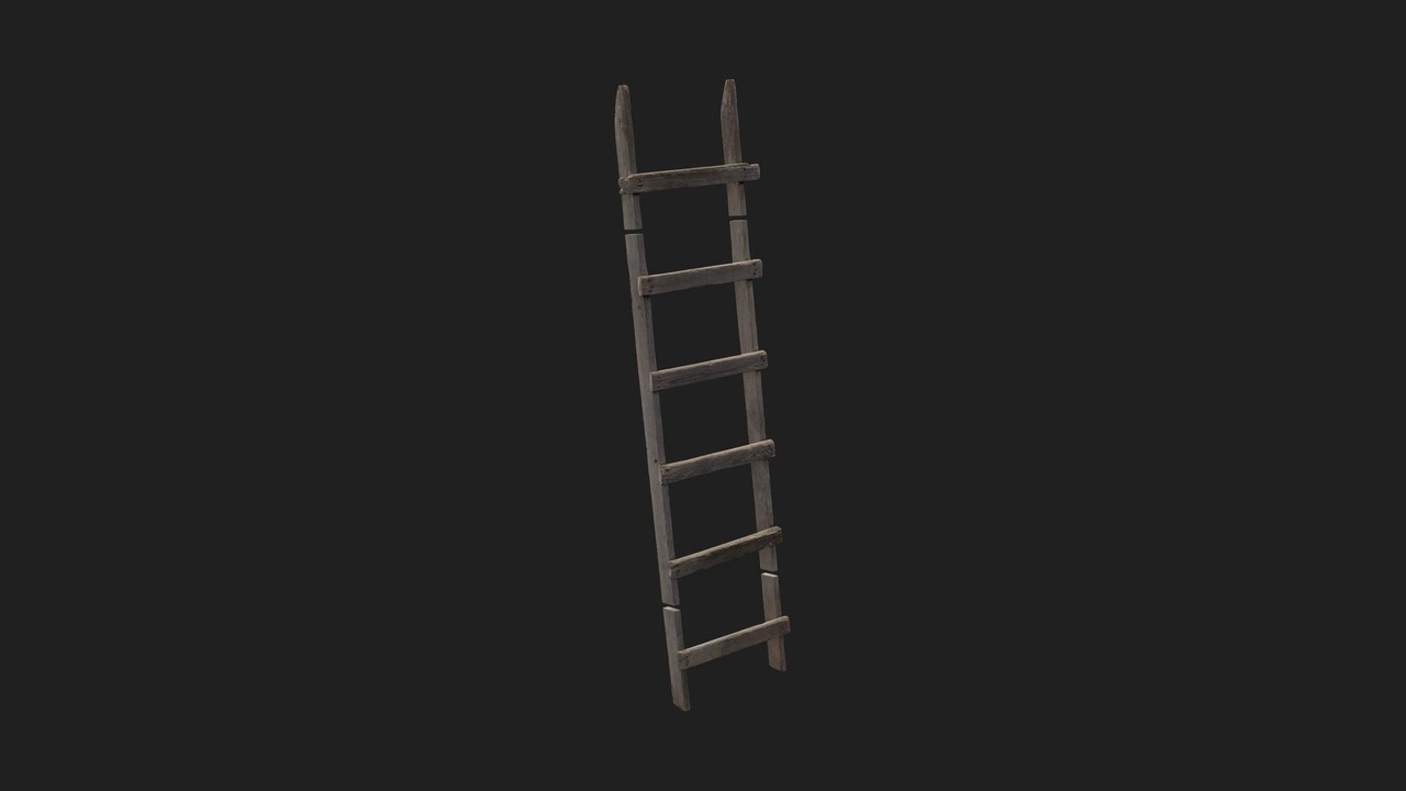 Media 1 for listing Modular Wooden Ladder