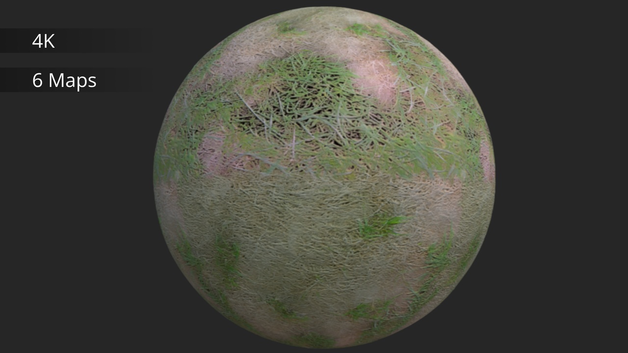 Media 1 for listing Dry Grass | Material
