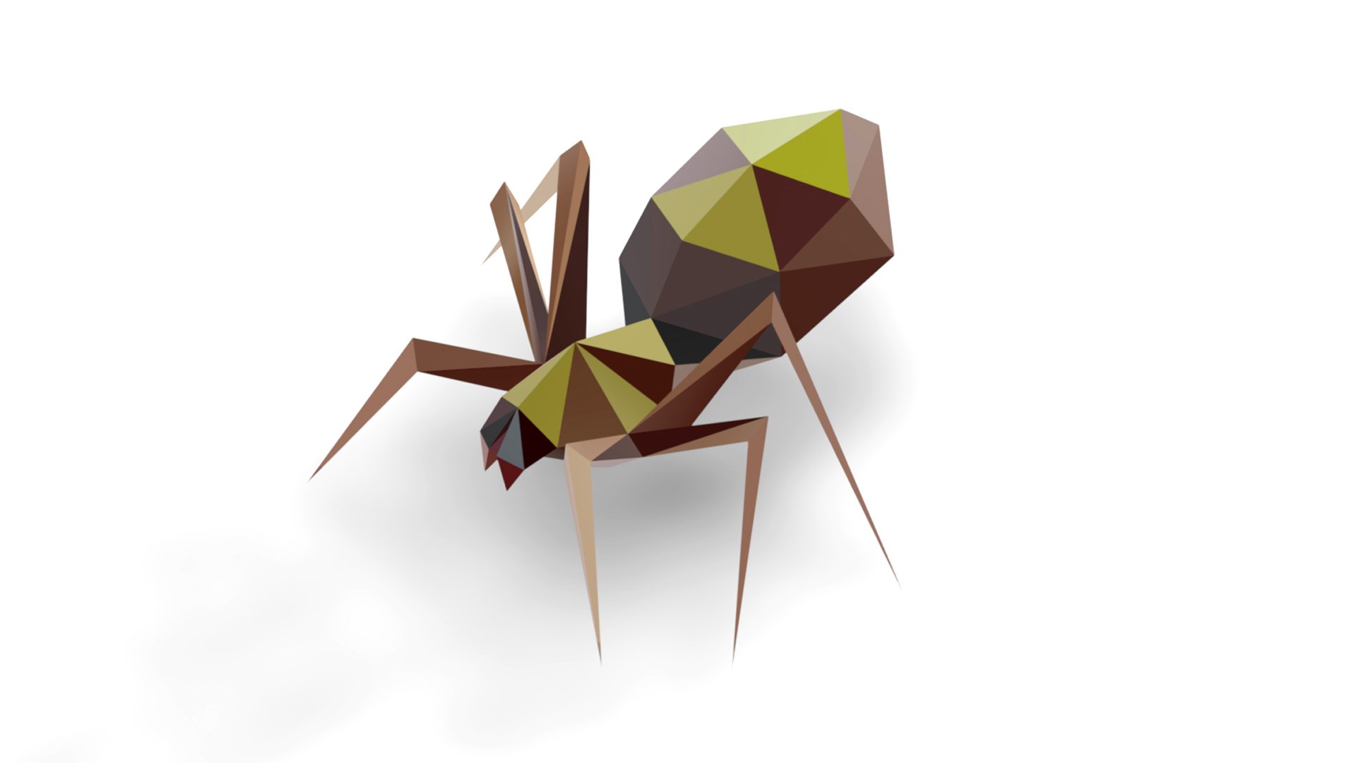Spider Animated LowPoly Art Insect Polyart Insect | Fab
