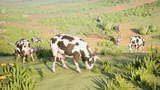 Asset image