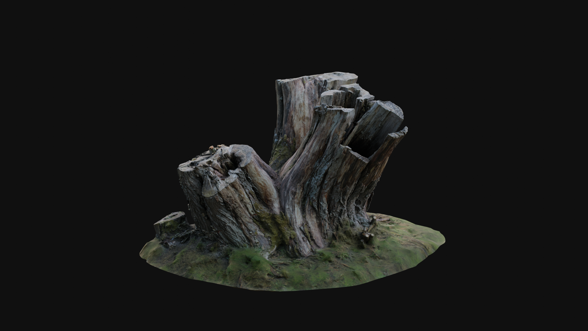 Tree Stump #01 | Fab