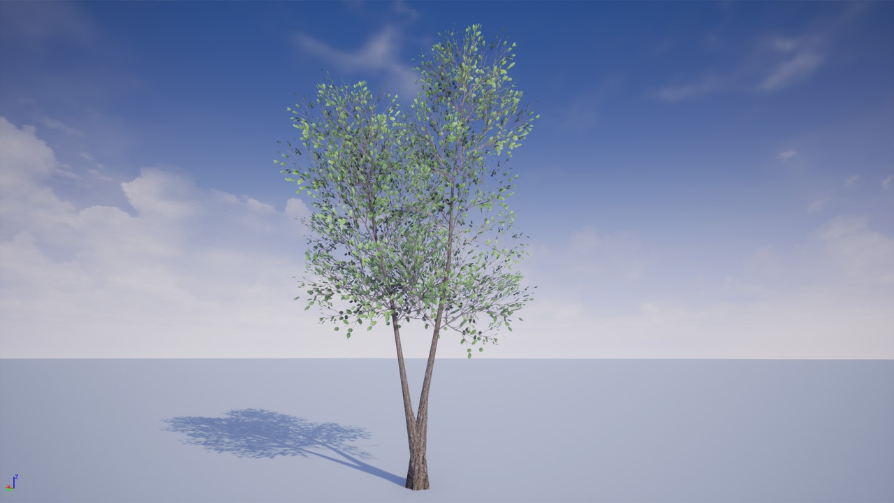 Media 1 for listing Super Tree Model