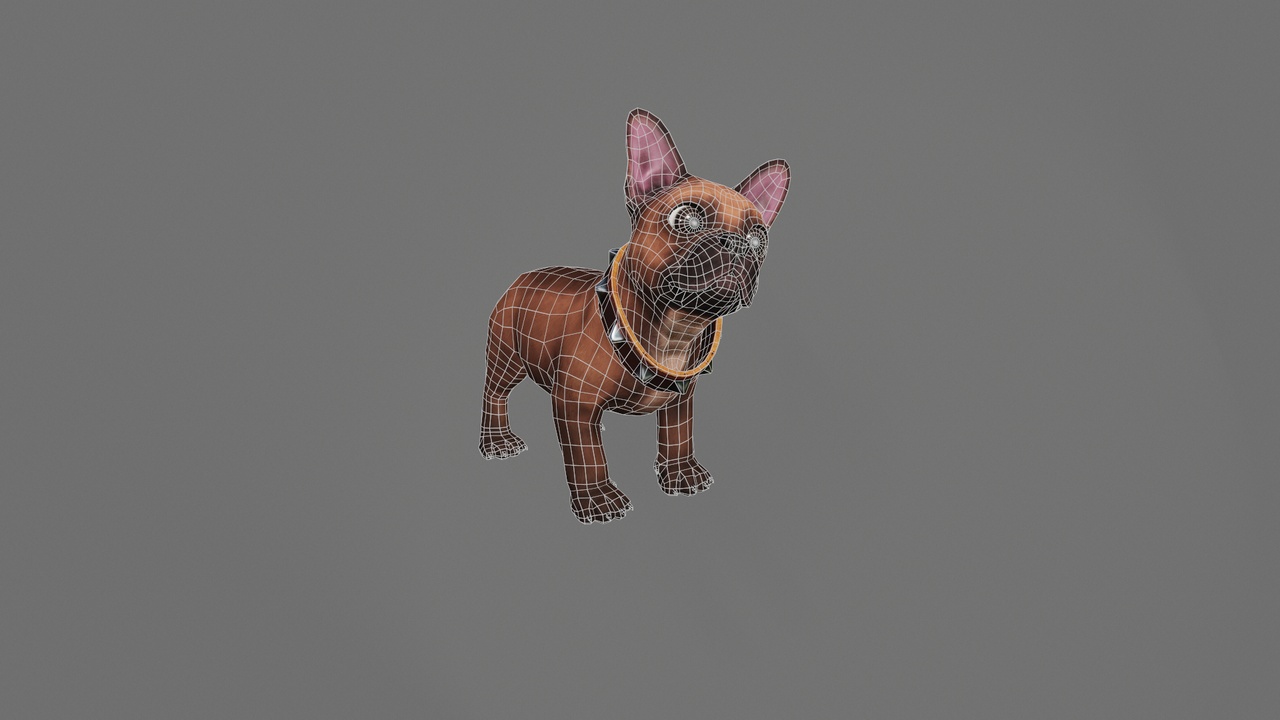 Media 1 for listing French dog