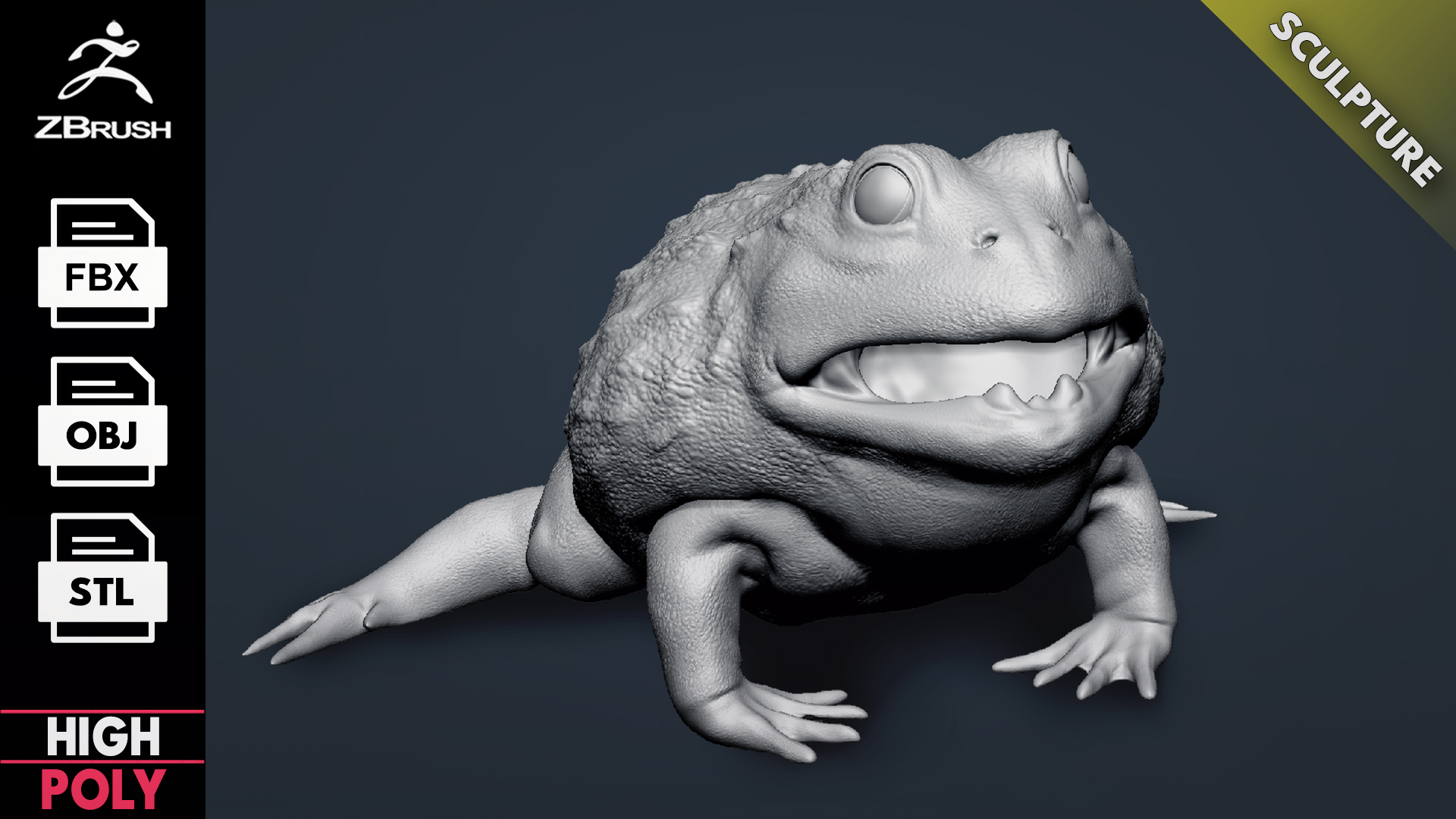 Pixie Frog - Sculpt | Fab
