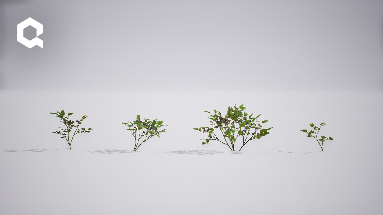 Media 1 for listing Megaplants: Bilberry