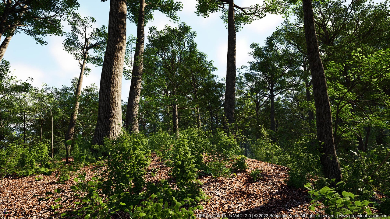 Media 1 for listing Trees: Oak Forest - Vol. 2 (Extreme Realistic Wind)