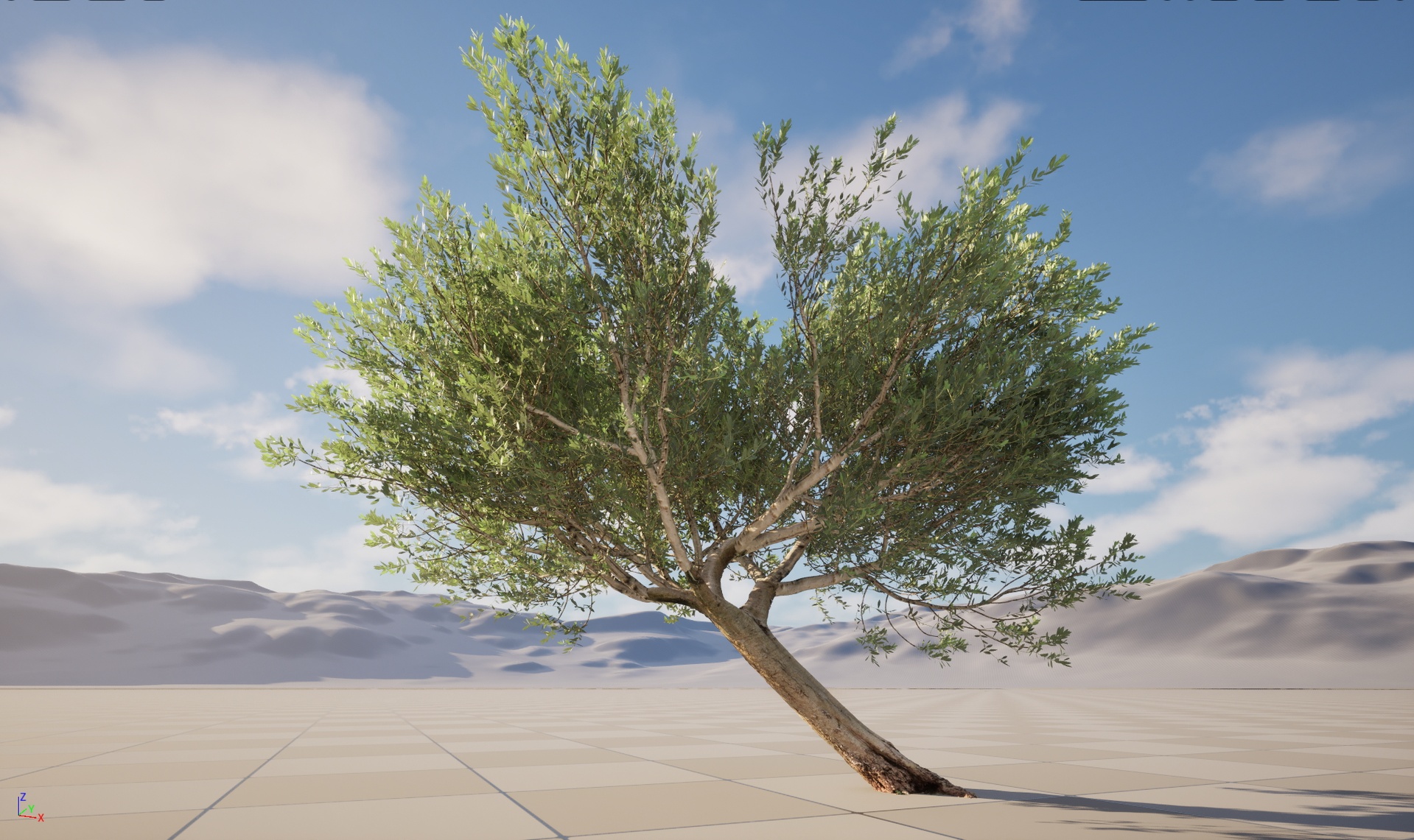 Media 1 for listing Nanite Wind Plants - Scanned Olea europaea - Common olive Pack 12