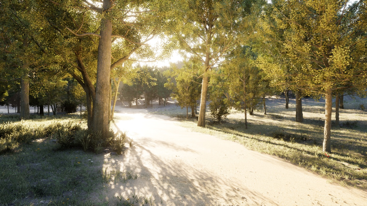 Media 1 for listing Realistic Forest 01