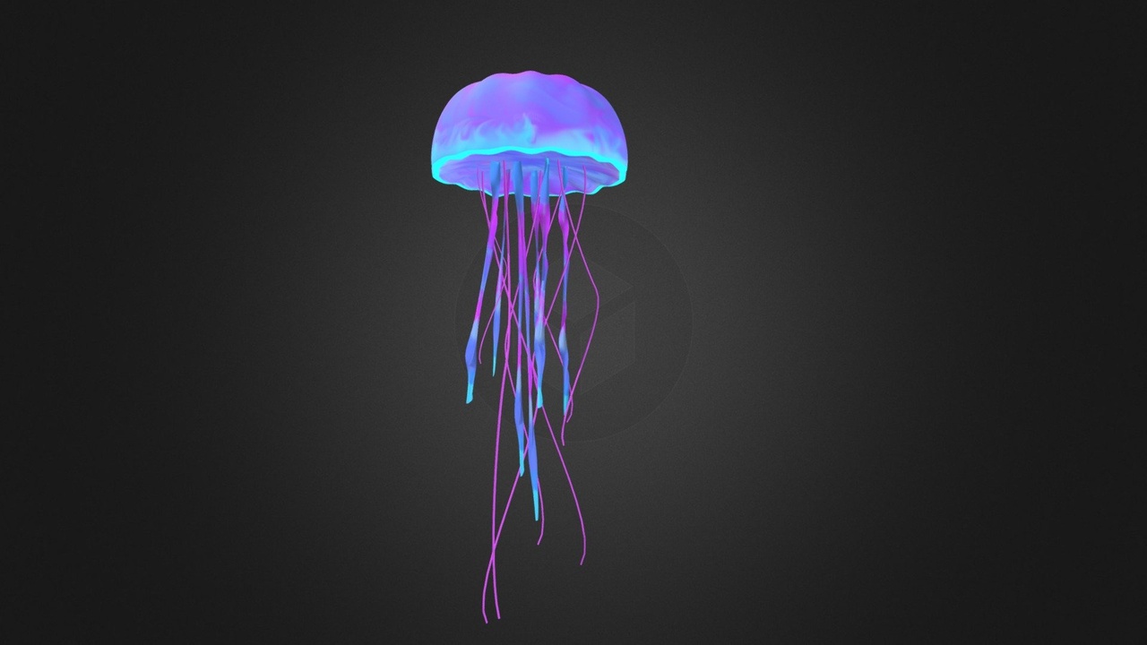 Media 1 for listing jellyfish