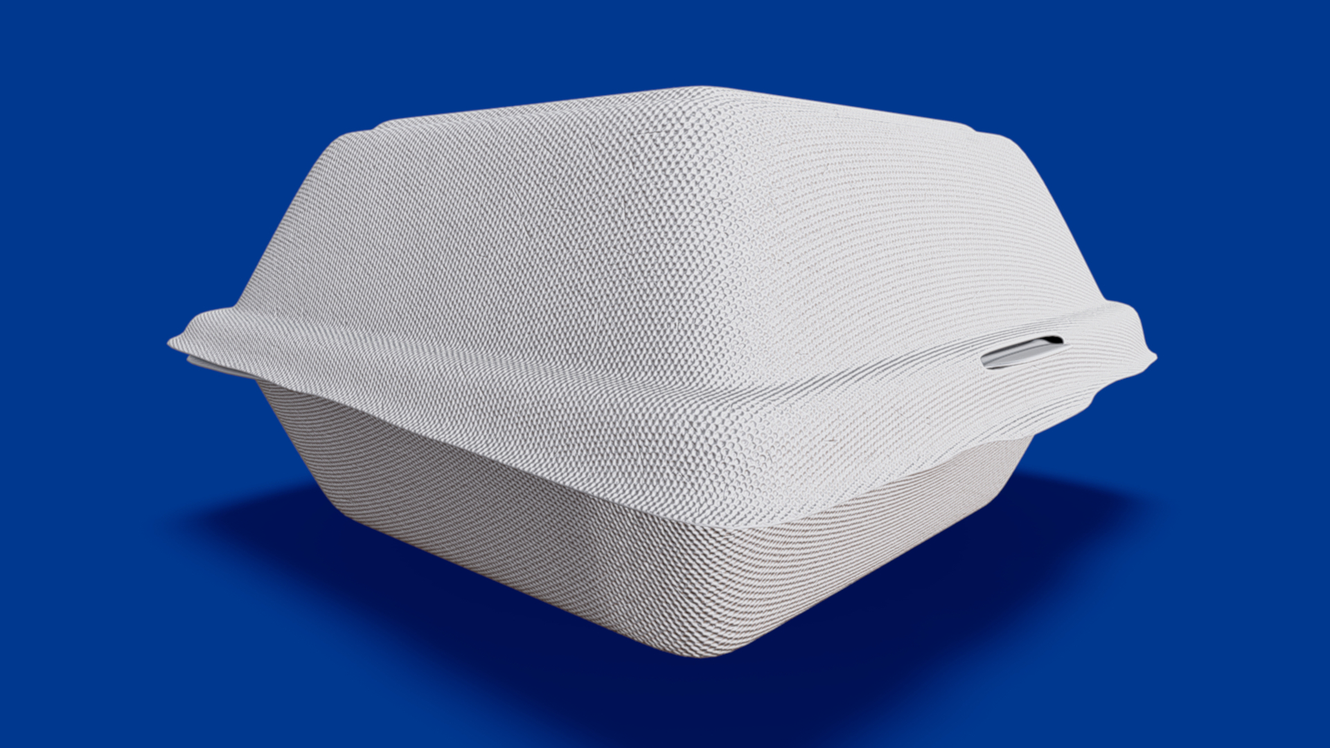 Close Box Disposable - Food Styrofoam Container | Fab