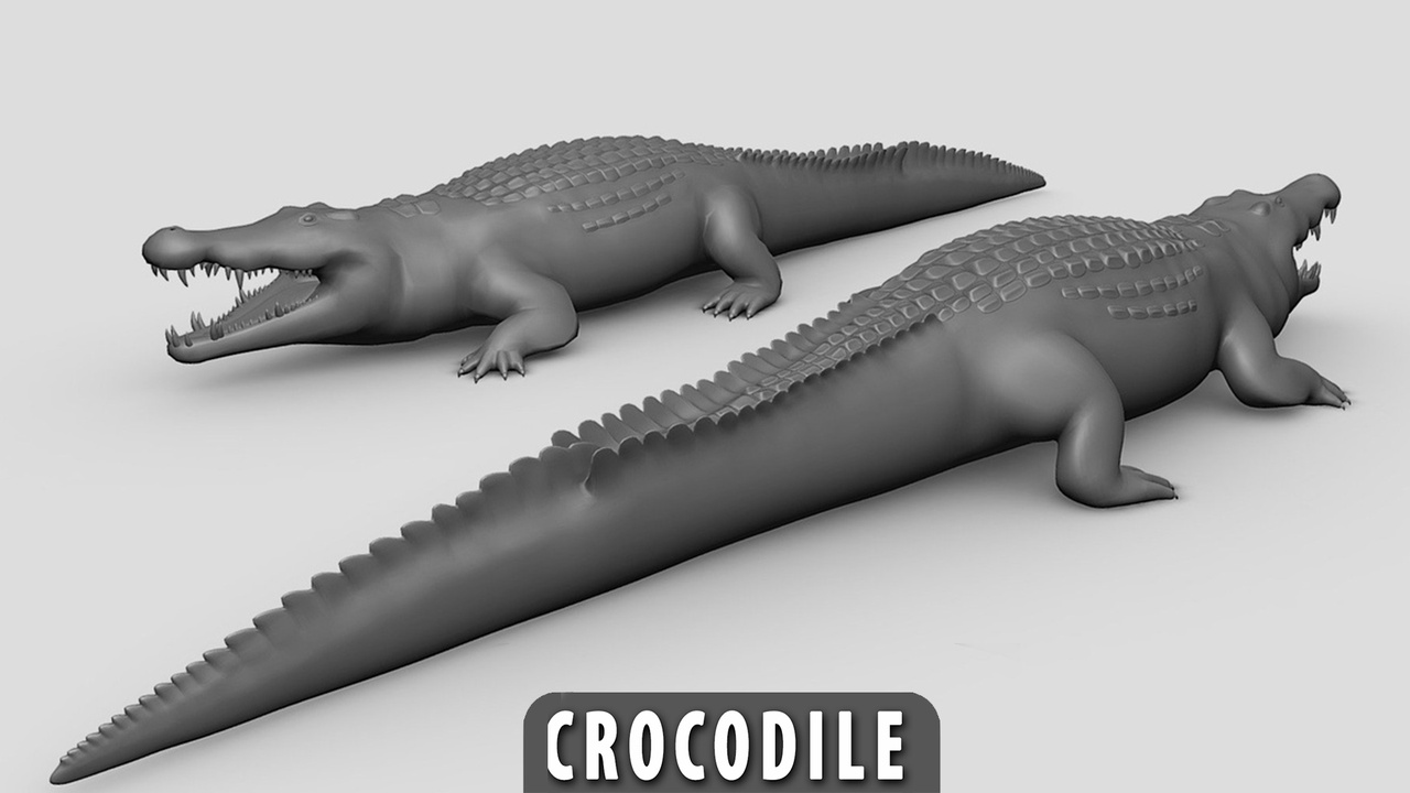 Media 1 for listing Crocodile  - Topology + Uv Map