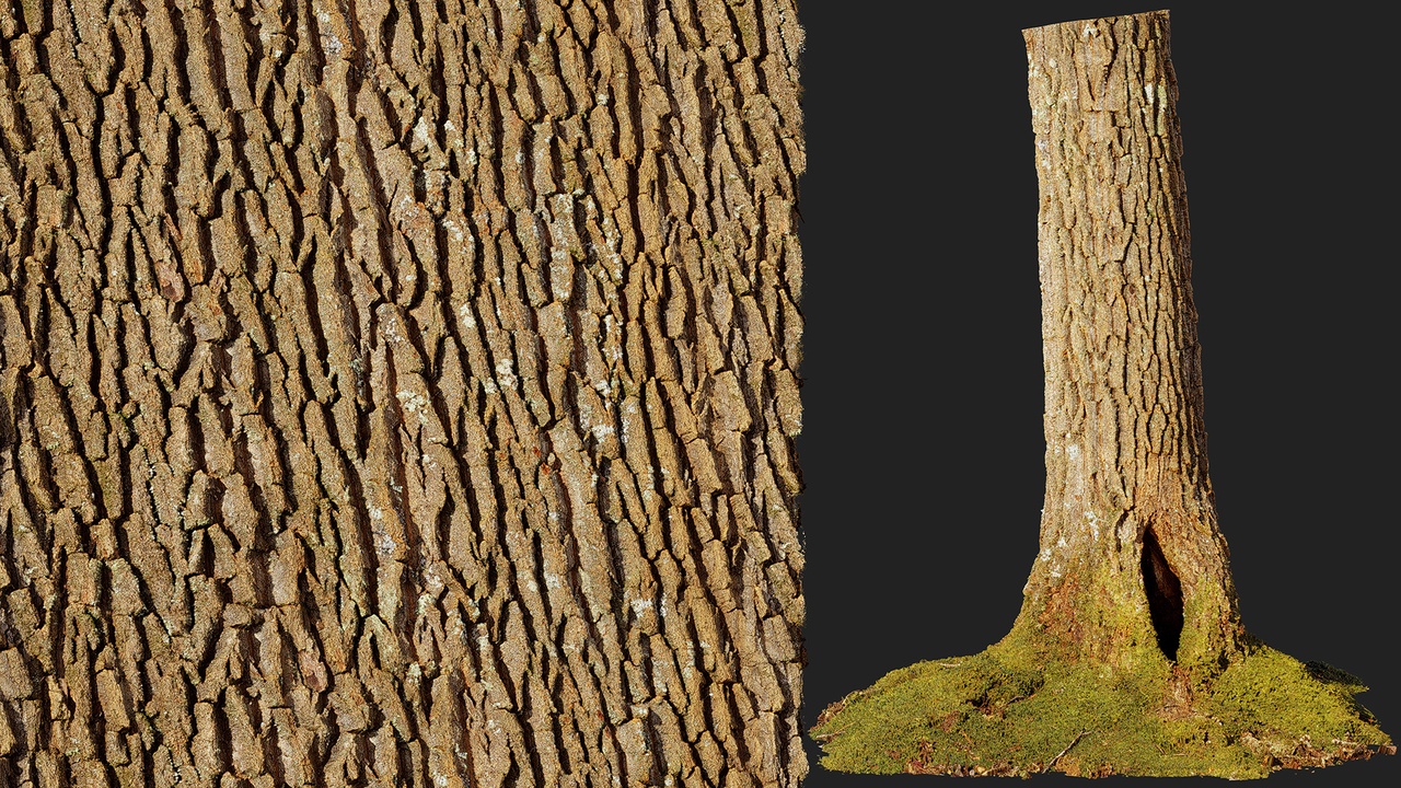 Media 1 for listing Chestnut Oak Bark 01