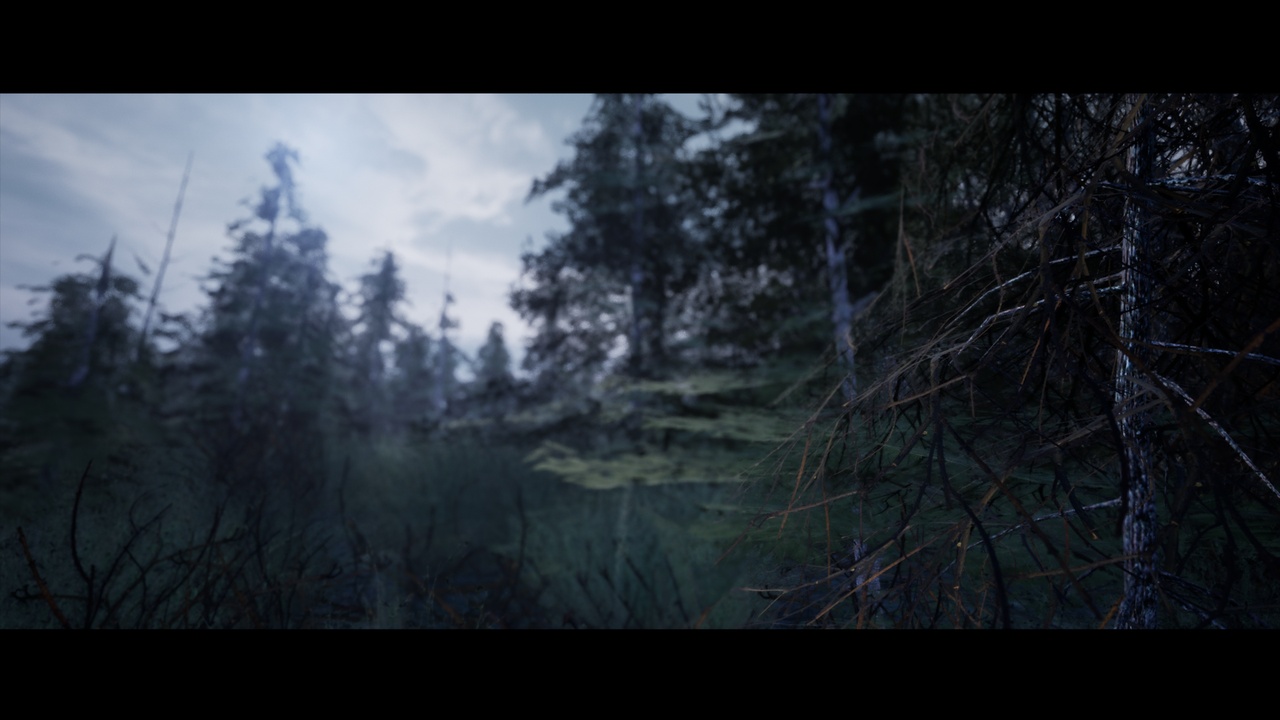 商品 Northern Forest 的媒体 1