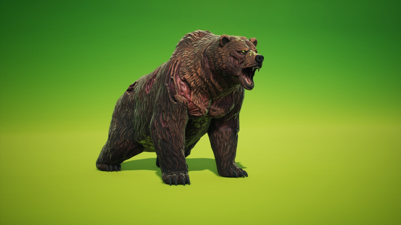 Media 1 for listing Bear
