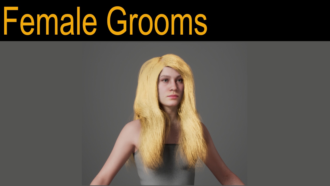 Media 1 for listing MetaHuman Compatible Female Grooms