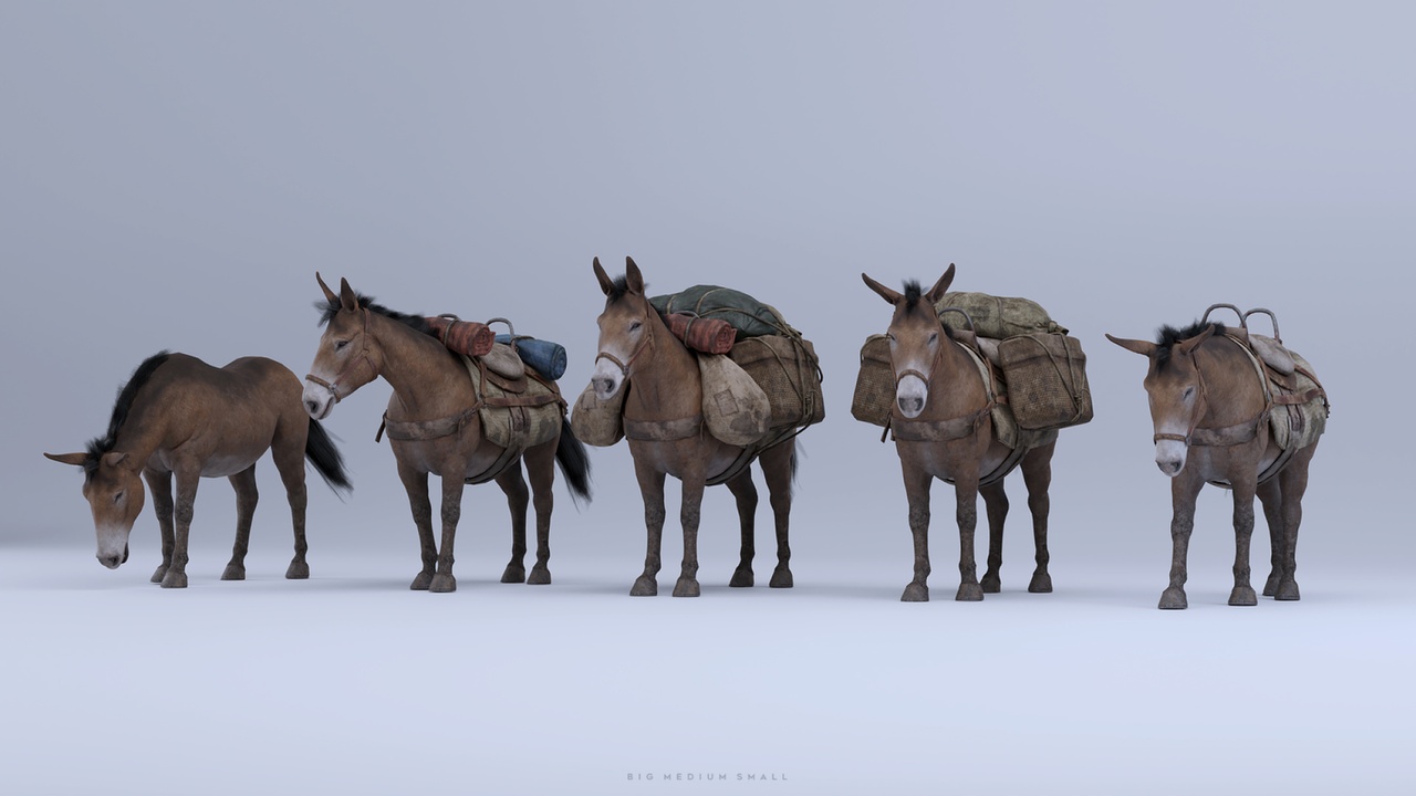 商品 Lost City - Mule 的媒体 1