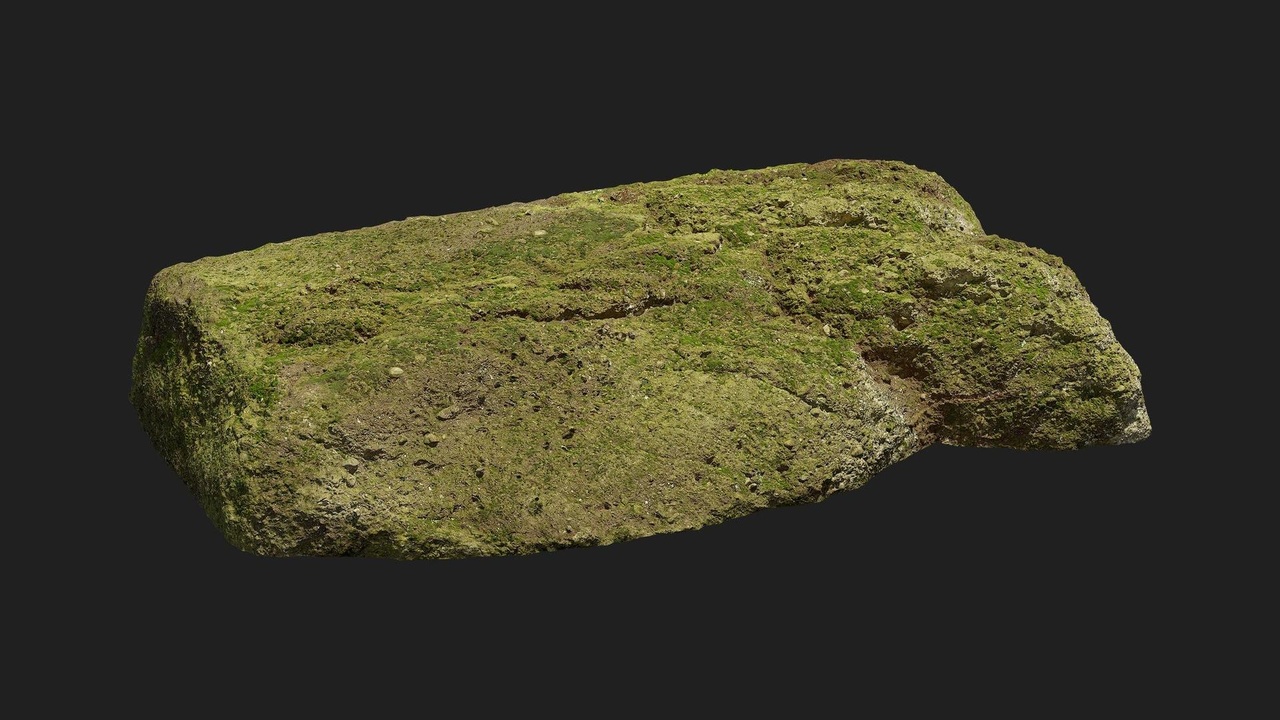 Media 1 for listing Forest European Broadleaf Ledge Rock M 01
