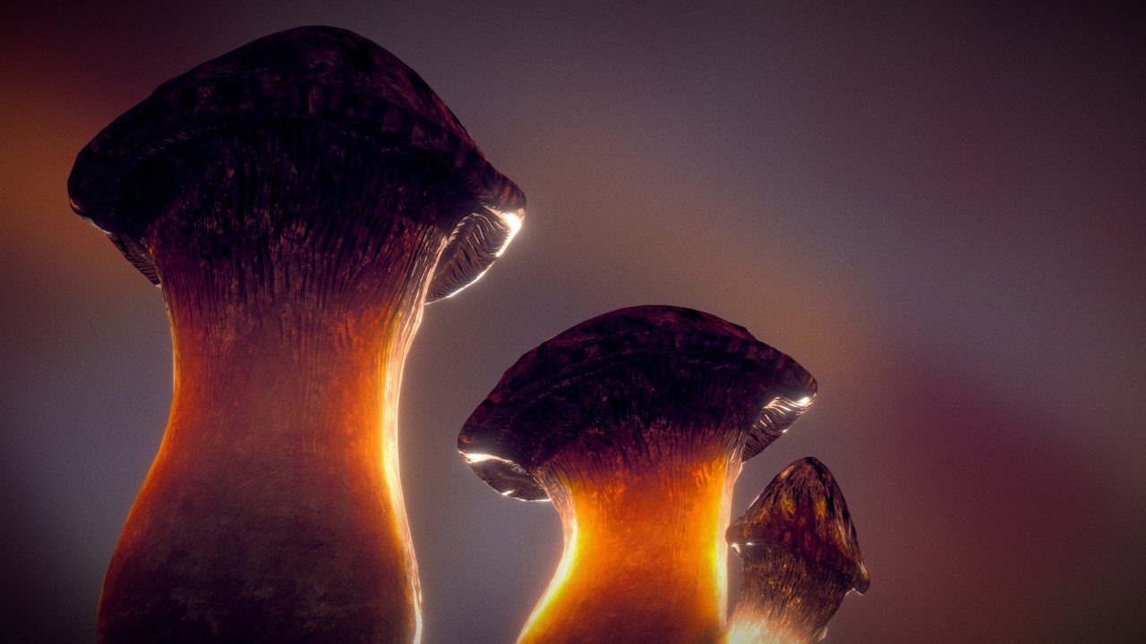 Media 1 for listing Mushroom Stylized Assets — King Trumpet