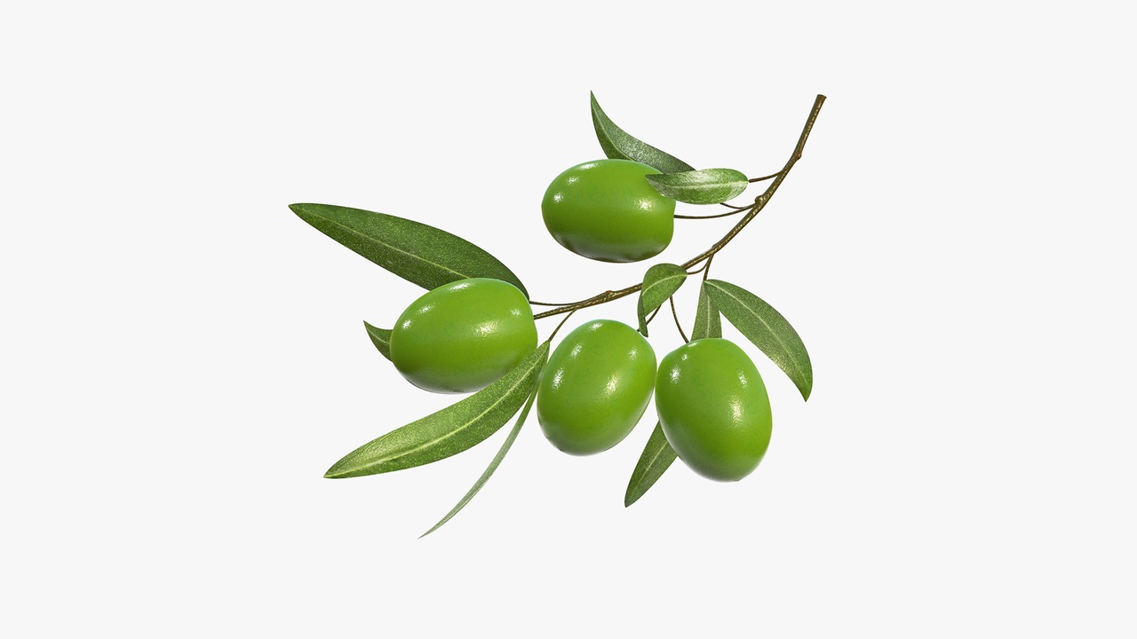 Media 1 for listing olive branch