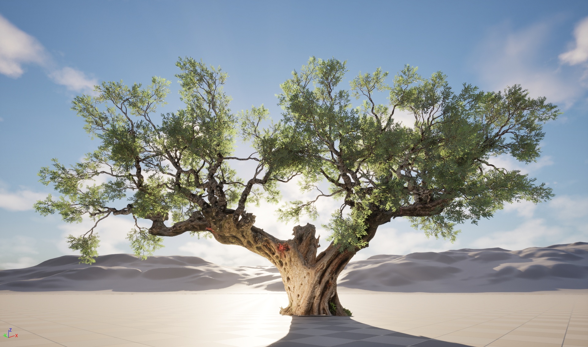 Media 1 for listing Nanite Wind Plants - Scanned Olea europaea - Common olive 19