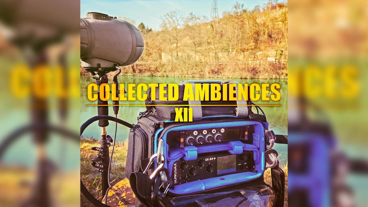Media 1 for listing Collected Ambiences - Volume XII