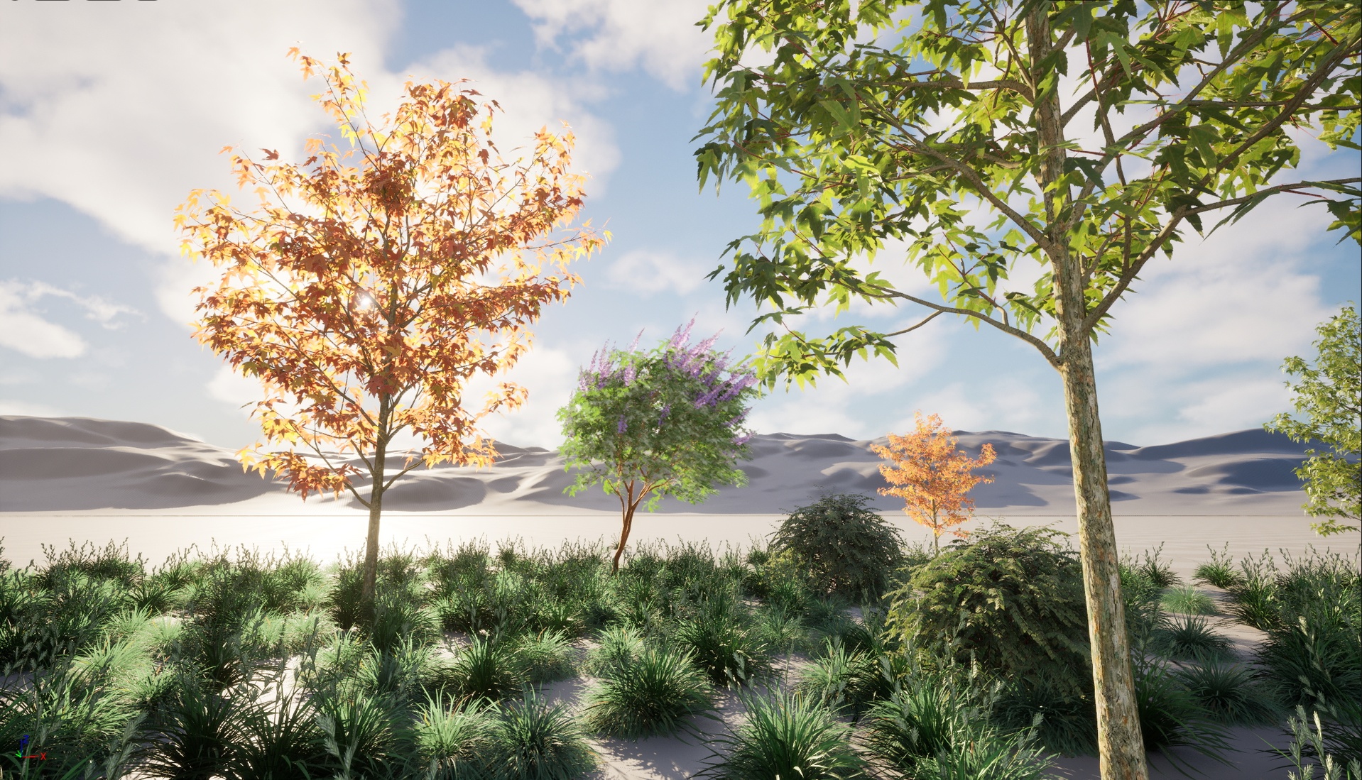 Media 1 for listing Unreal Engine - Nanite Plants Tree Grass Shrub Sample Collection 3D model