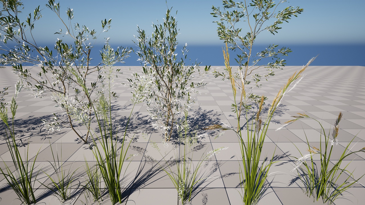 Media 1 for listing Plant Pack 2