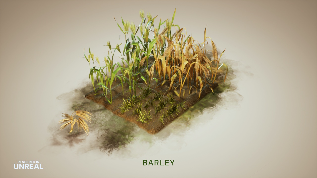 Media 1 for listing Wild Harvest: Grains
