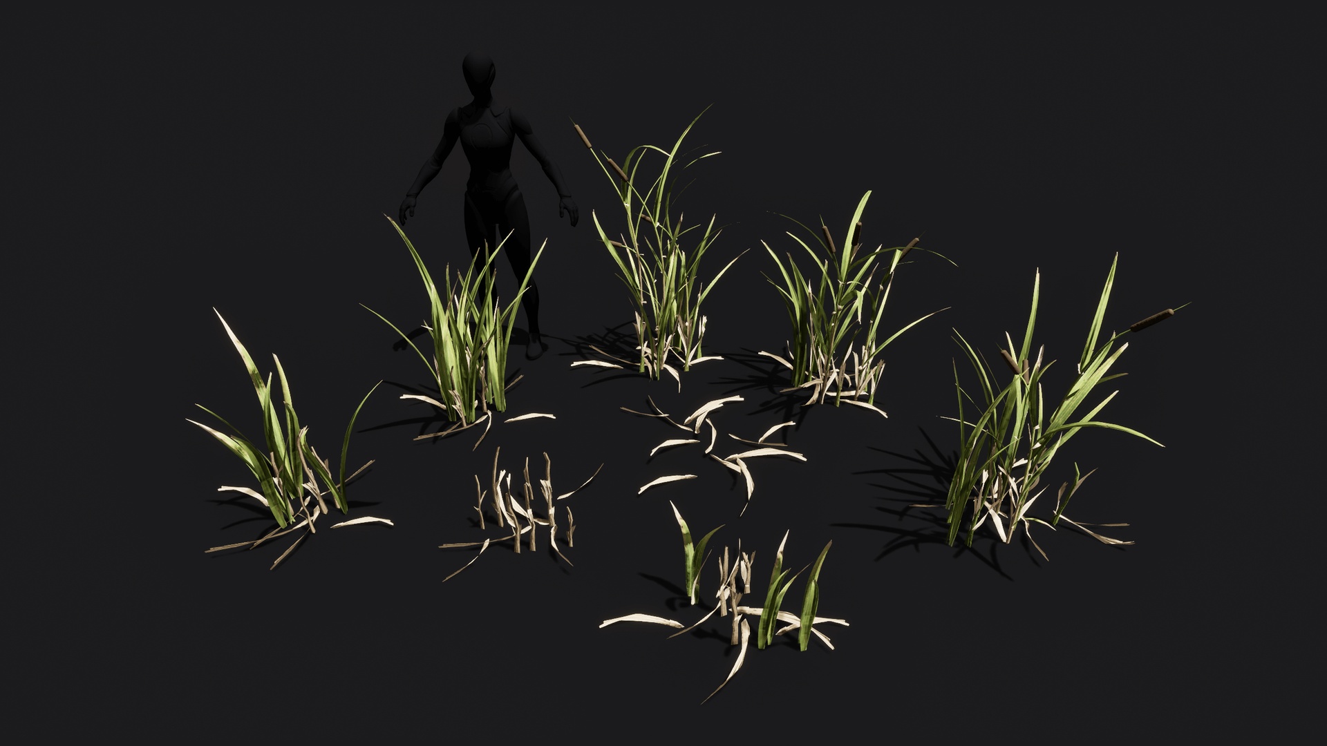 Медиа 1 для объявления Cattails set mid poly game ready