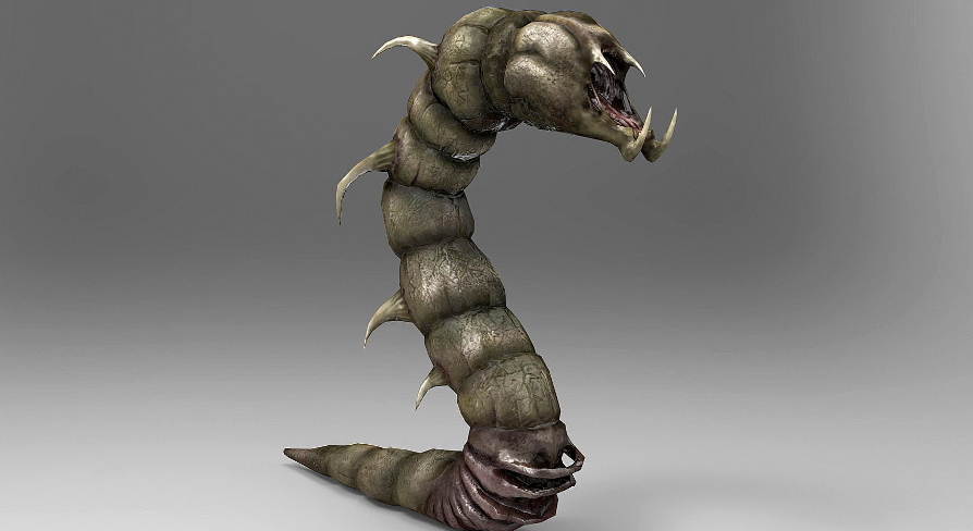 NPC Middle Worm | Fab