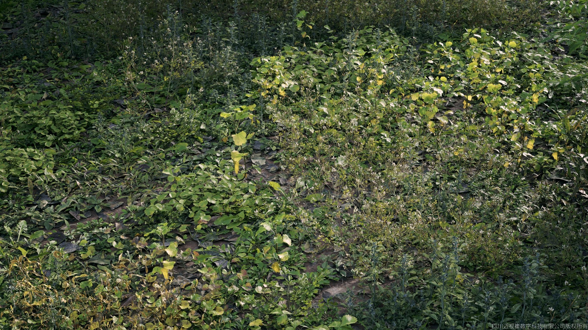 Media 1 for listing Plant Models Vol 185