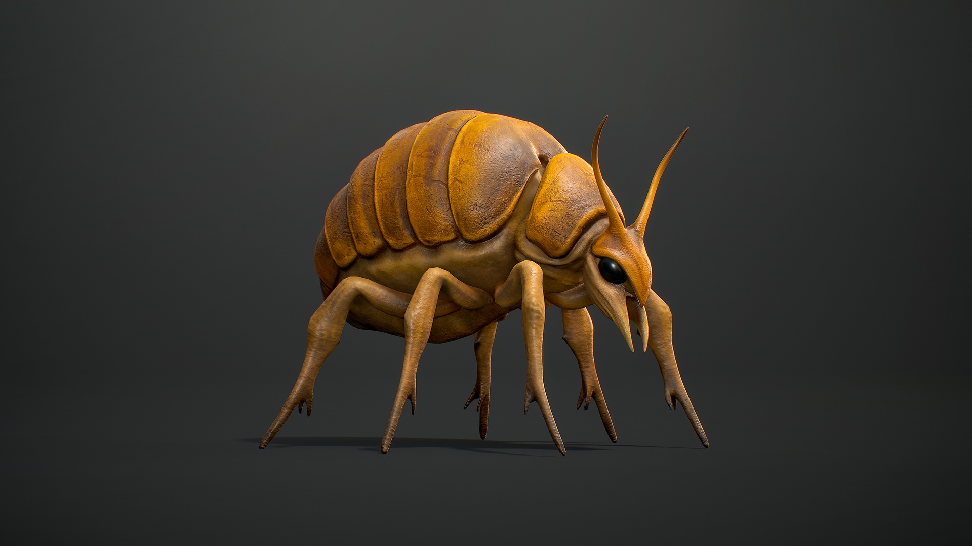 Seeker Beetle 제품 등록을 위한 미디어 1개