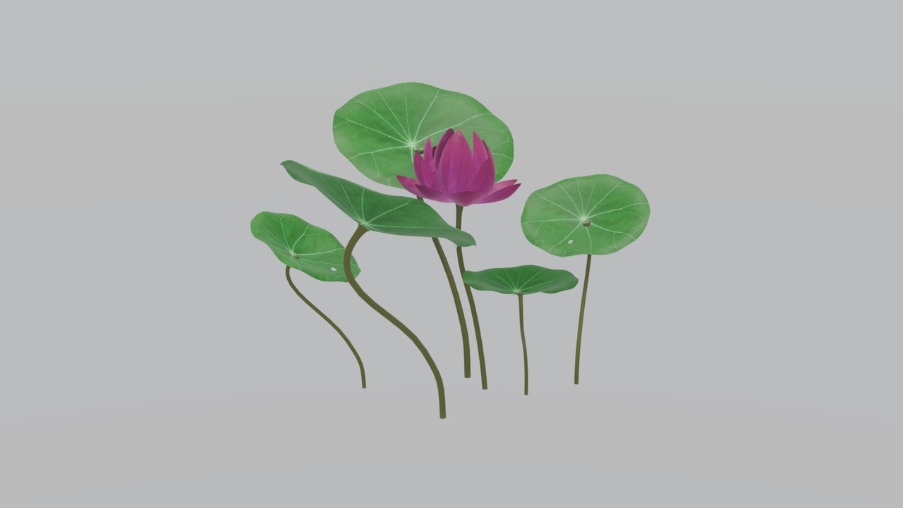 Media 1 for listing Lotus Pond Scenic Water Garden 3D Model