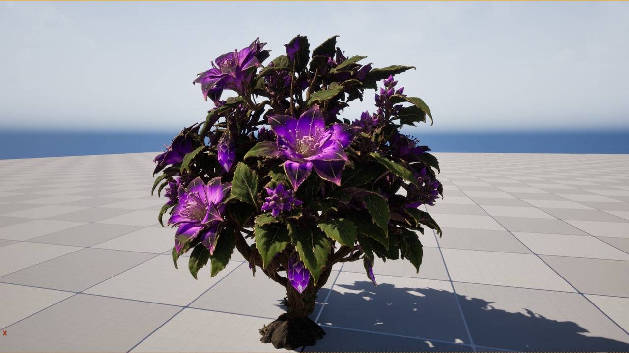 Media 1 for listing Magic Bush