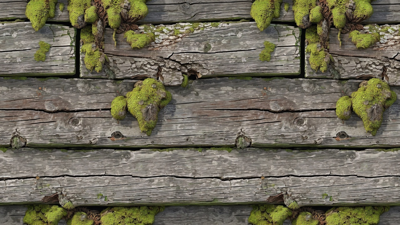 Ancient Mossy Wood - 4K Seamless PBR Texture Pack 제품 등록을 위한 미디어 1개