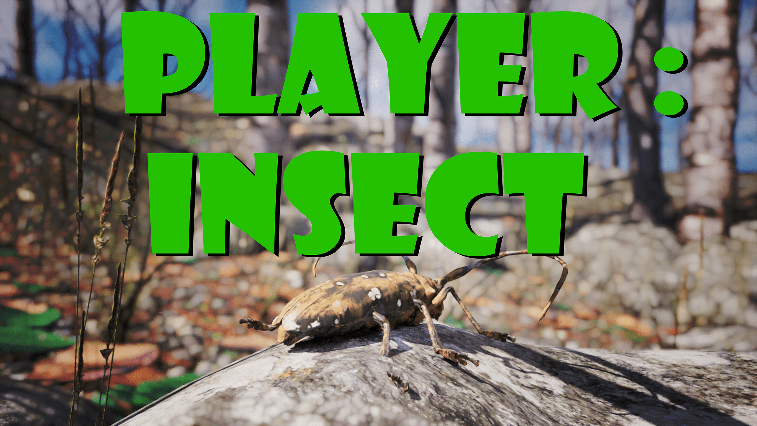 Jogo Insect Player Insect | Fab