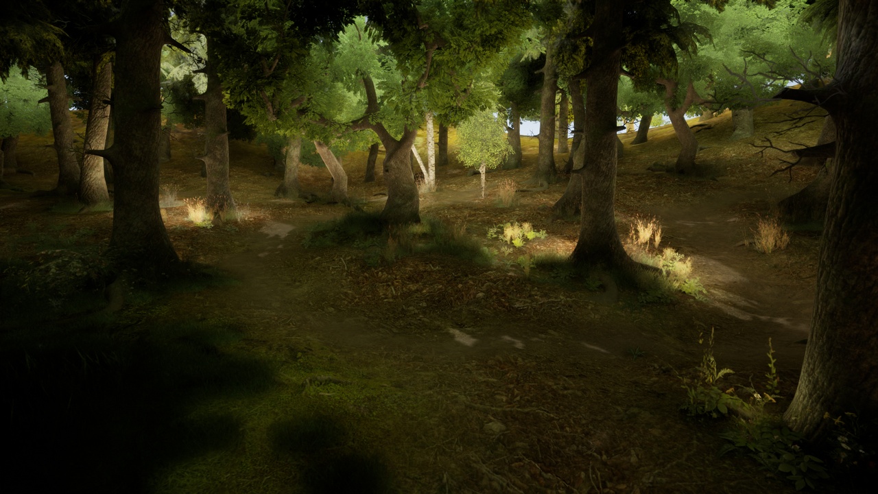 Media 1 for listing Dynamic Forest All Purpose Forest Asset Pack
