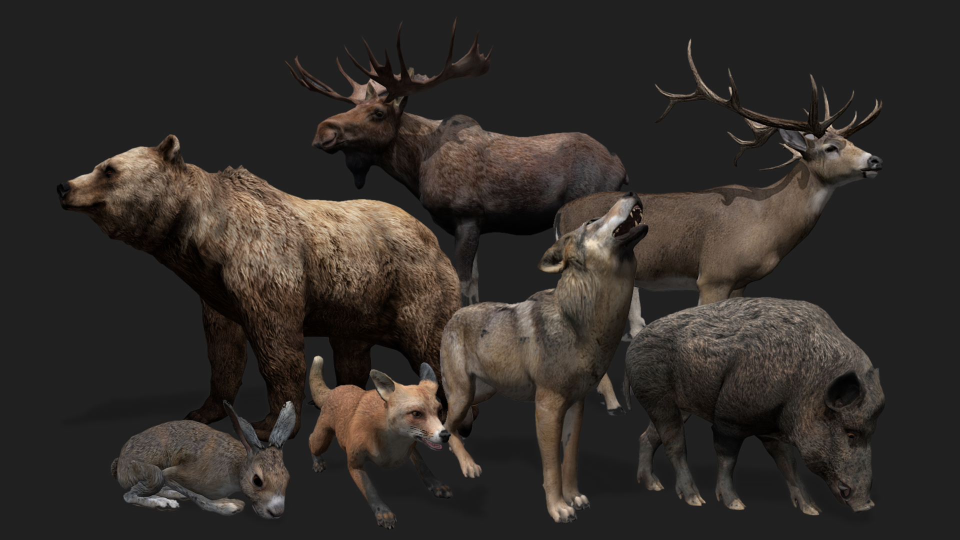 REALISTIC FOREST ANIMALS PACK | Fab