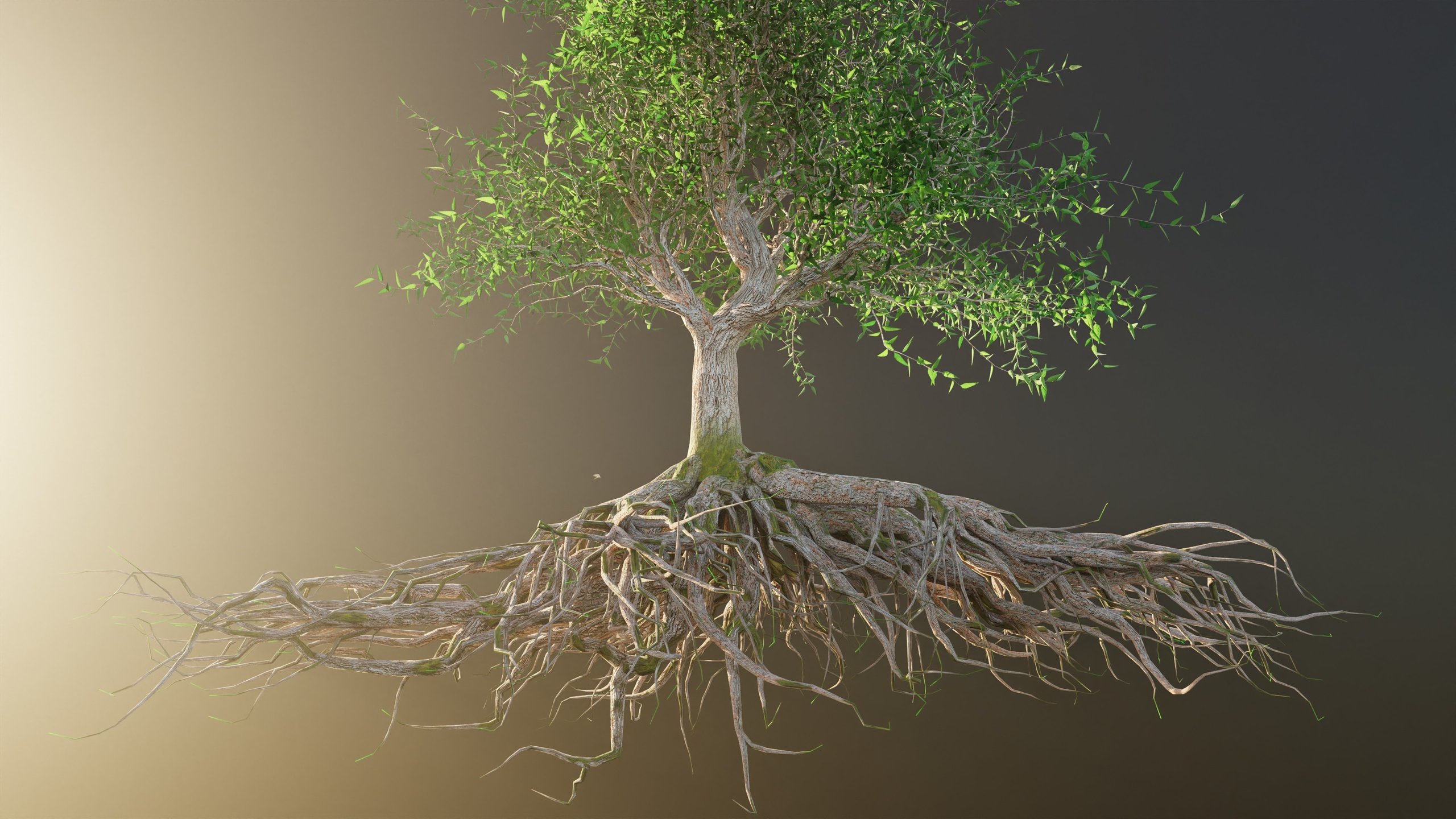 Media 1 for listing Procedural Roots Generator V3
