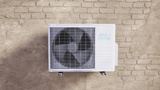 Asset image