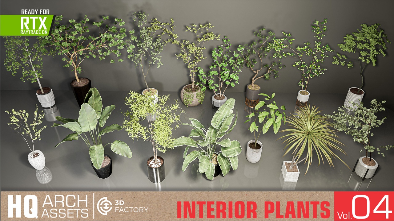 Media 1 for listing HQ Interior Plants Vol. 4