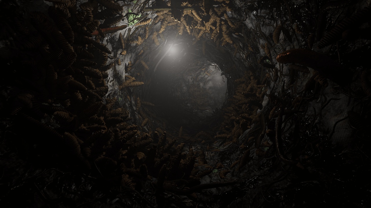 Media 1 for listing Worms