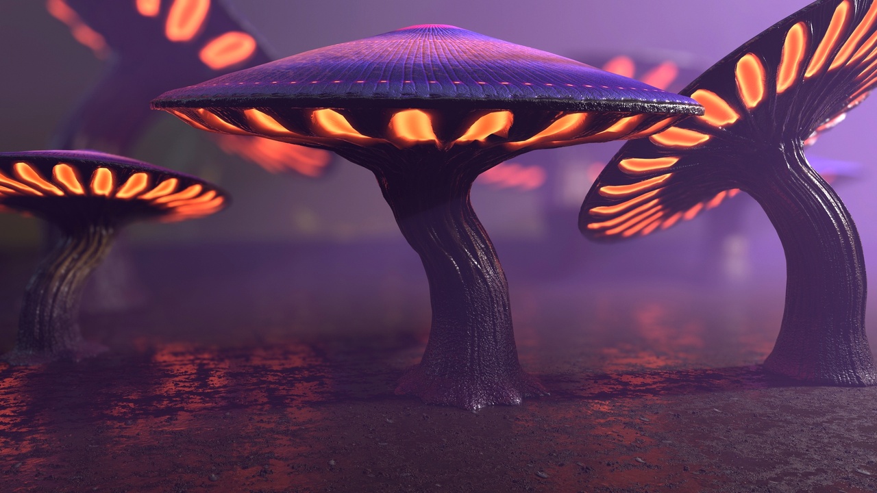 Média 1 pour l'article Fantasy Mushrooms Collection