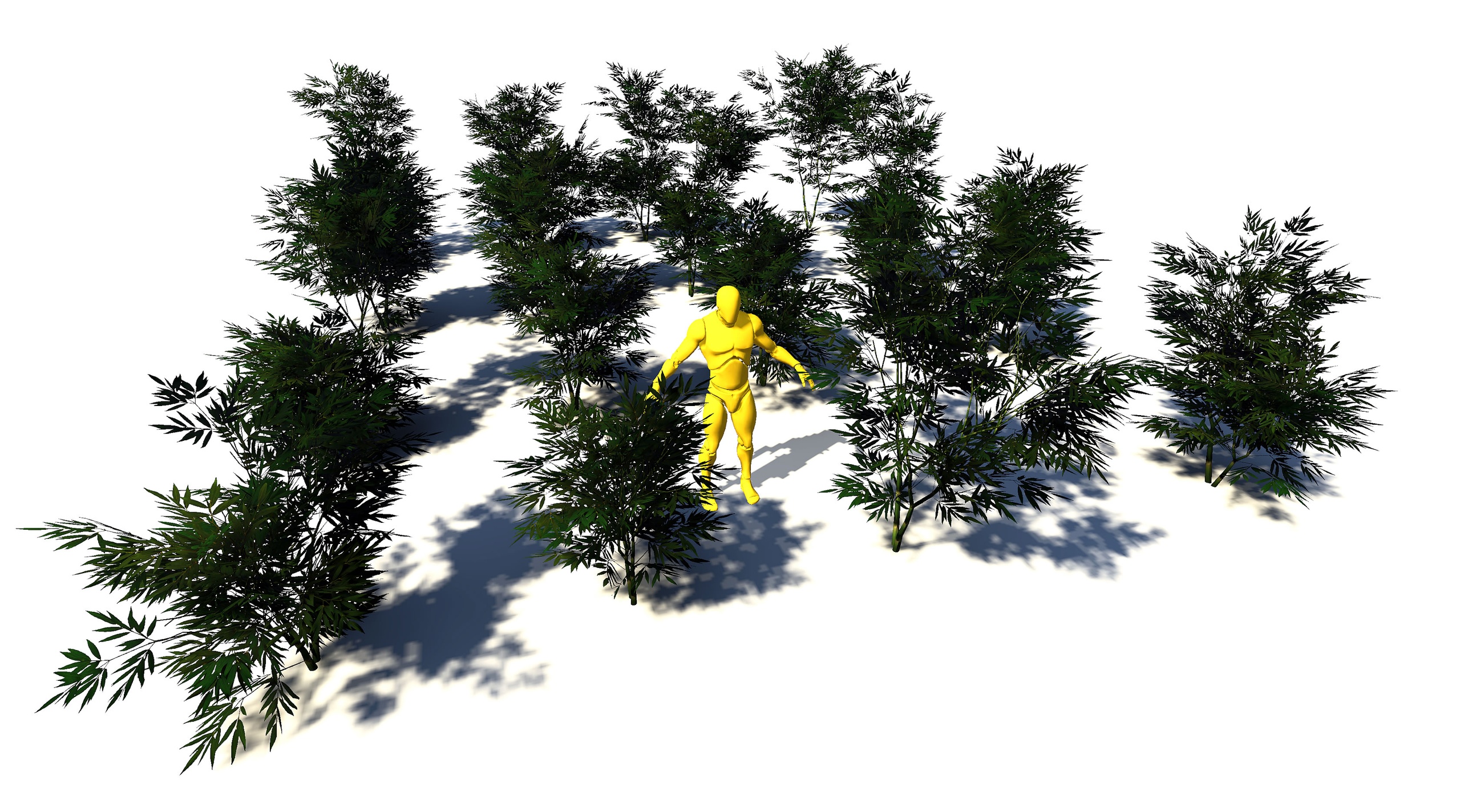 Media 1 for listing BushGen04-Bushes07