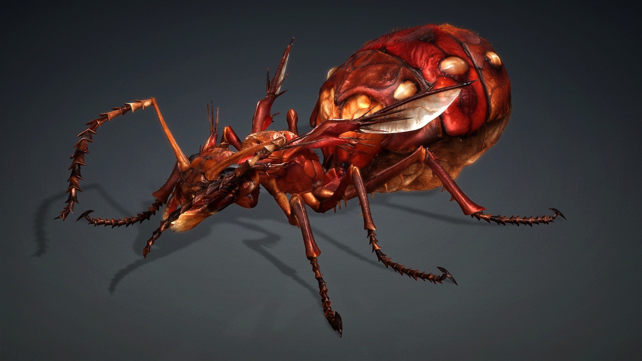 Media 1 for listing Ant Monster_V1c