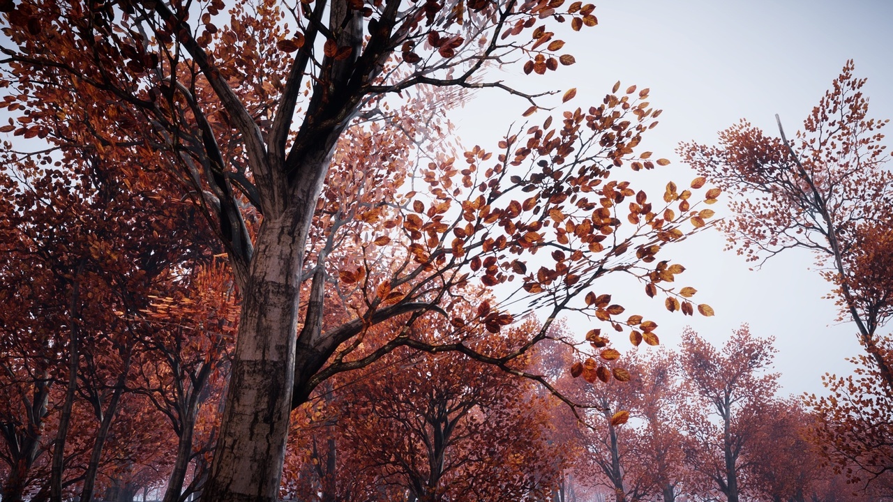 Media 1 for listing Mobile Trees Pack 72